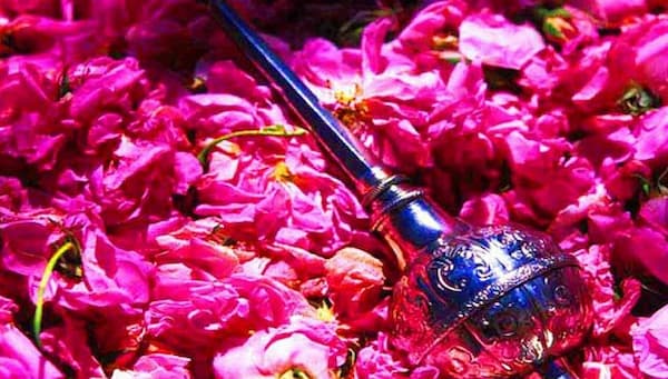 تصویر 2 از گلاب و عرقیات گیاهی